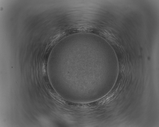 X0000066021106200603061315