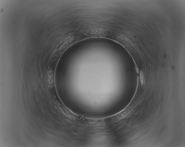 X0000066021107200603061315