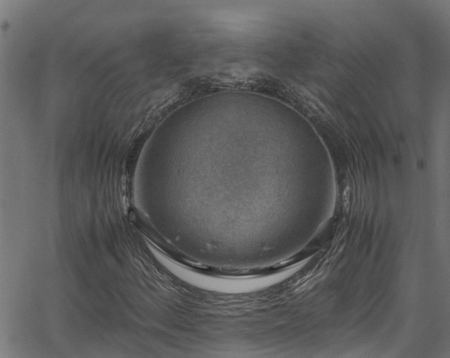 X0000066021156200603061315