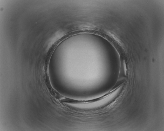 X0000066021261200603061314