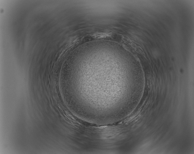 X0000066021393200603061311