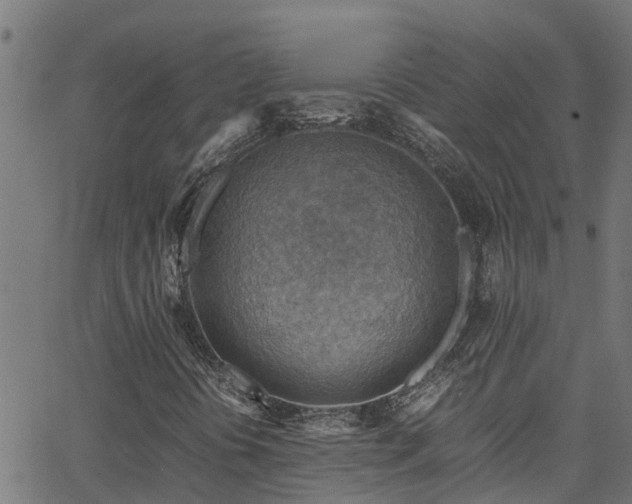 X0000066021394200603061311
