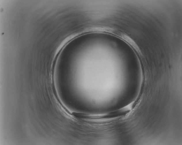 X0000066021436200603061311