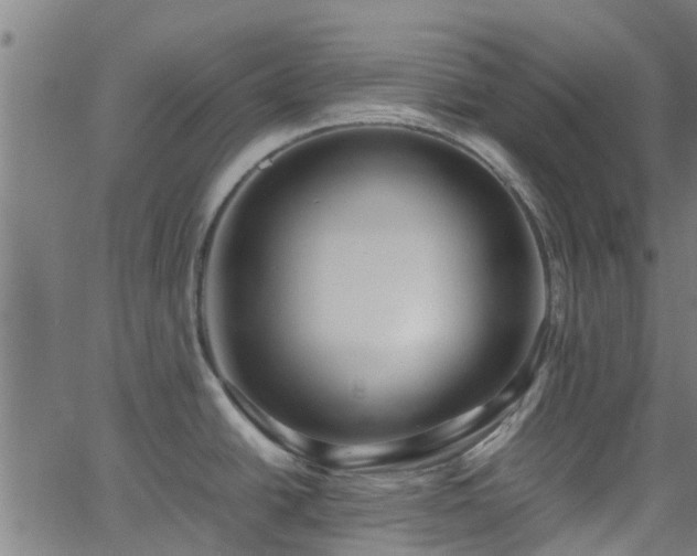 X0000066021438200603061311