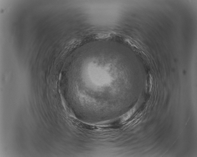 X0000066021441200603061311