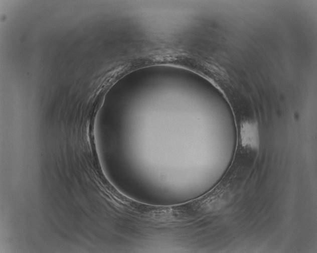 X0000066021444200603061311