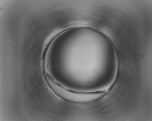 X0000066021472200603061310