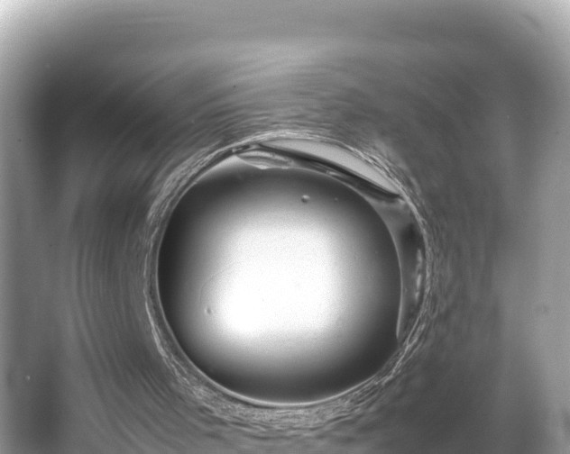 X0000066020001200603101635