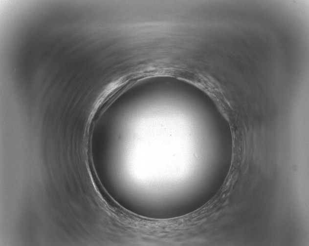 X0000066020003200603101635