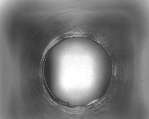 X0000066020004200603101635