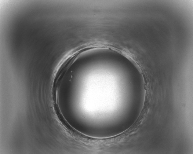 X0000066020007200603101635