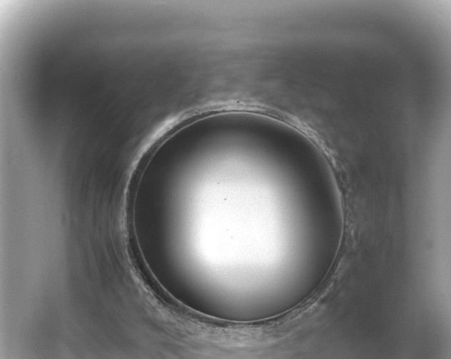 X0000066020008200603101635