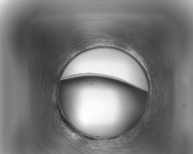 X0000066020009200603101635