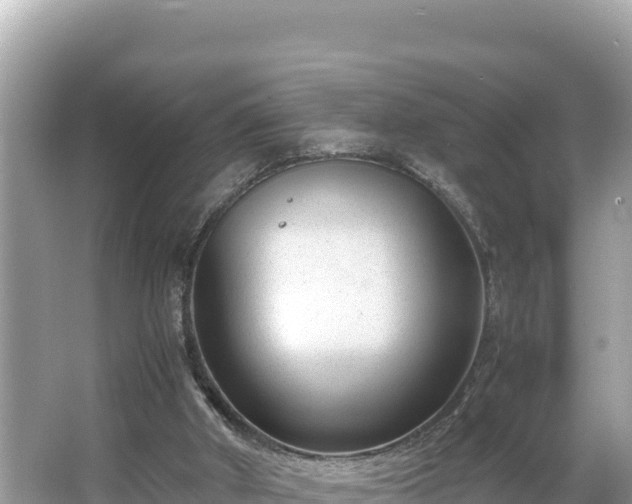 X0000066020010200603101635