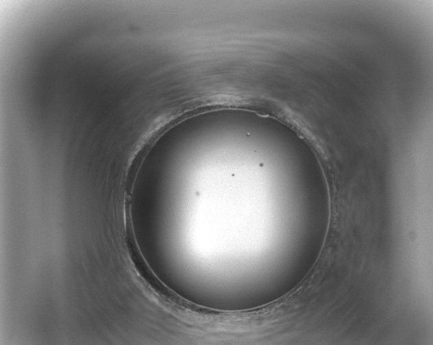 X0000066020011200603101634