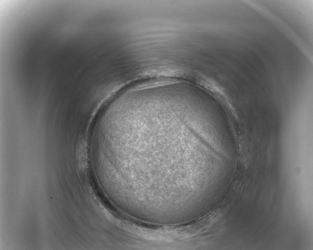 X0000066020012200603101634