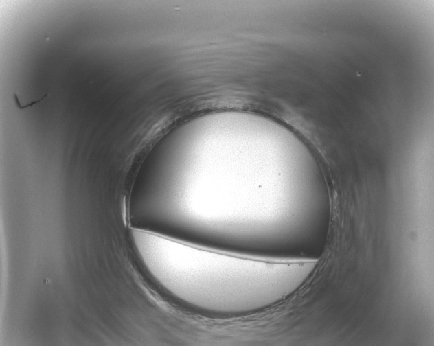 X0000066020013200603101634