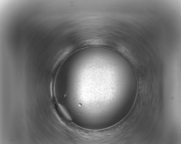 X0000066020014200603101634