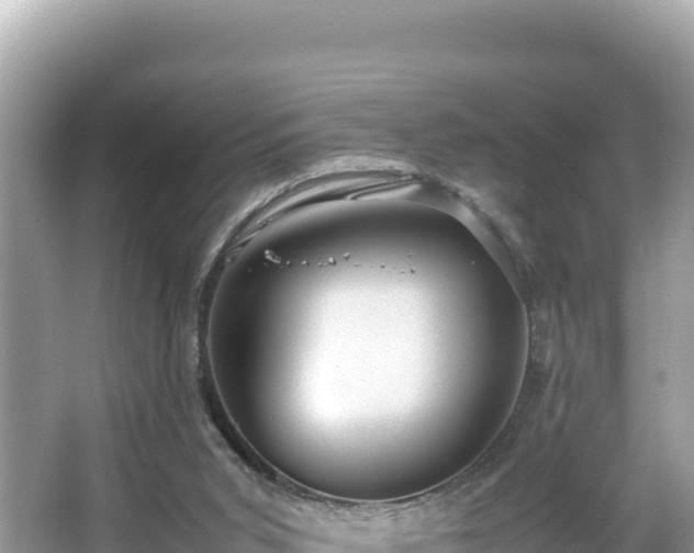 X0000066020015200603101634