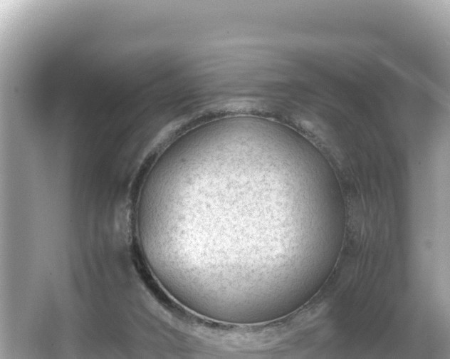 X0000066020016200603101634