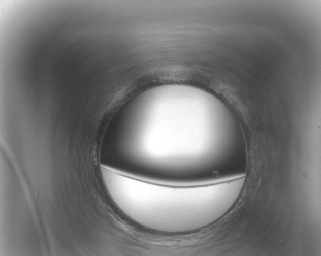 X0000066020017200603101634