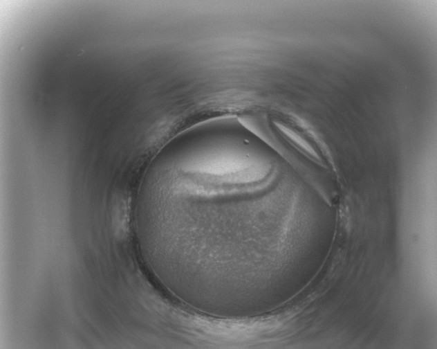 X0000066020018200603101634