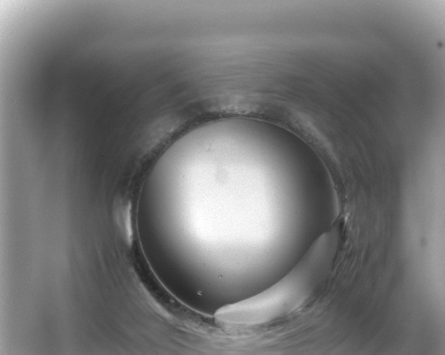 X0000066020020200603101634