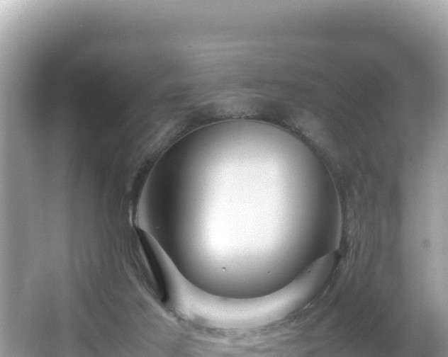 X0000066020021200603101634