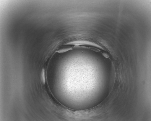 X0000066020022200603101634