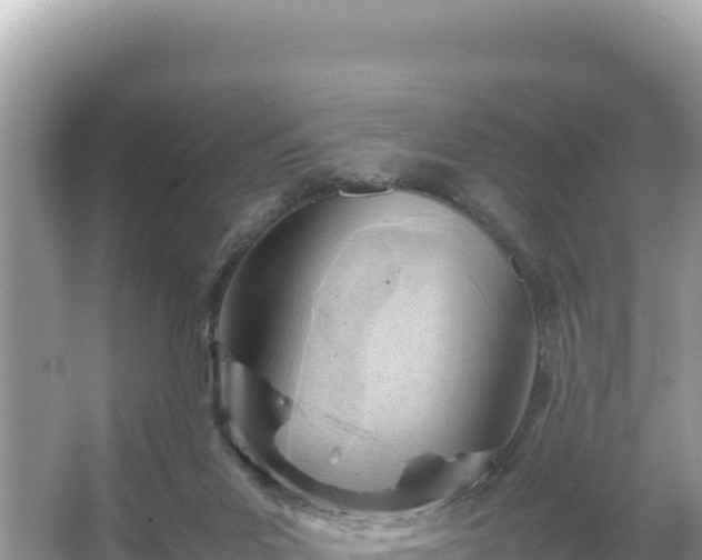 X0000066020023200603101634