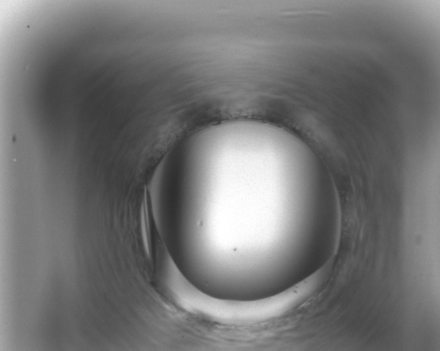 X0000066020025200603101634