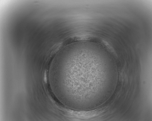 X0000066020026200603101634