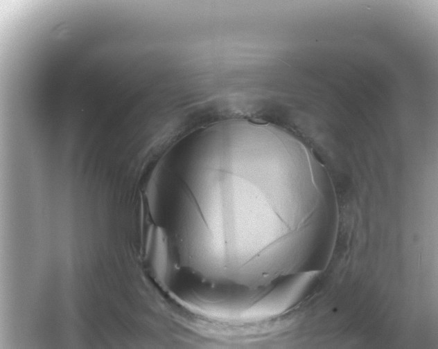 X0000066020027200603101634