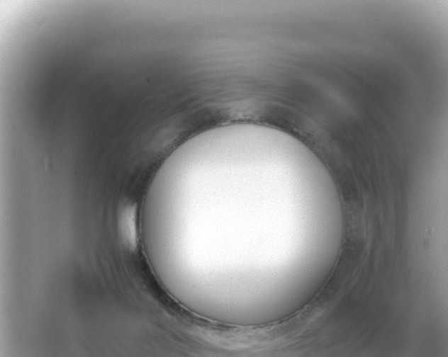 X0000066020028200603101634