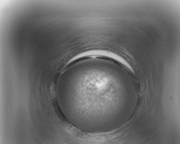 X0000066020029200603101634