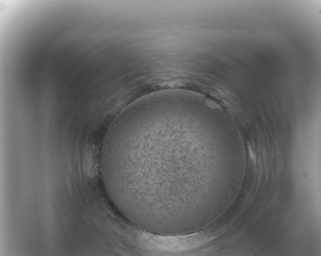 X0000066020030200603101634