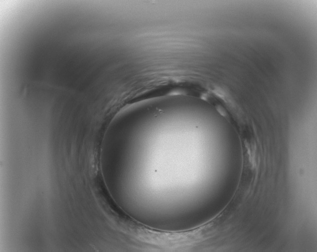 X0000066020031200603101634