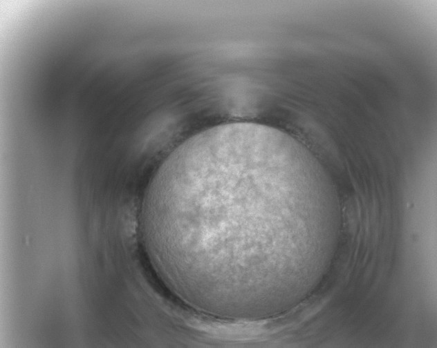 X0000066020032200603101634