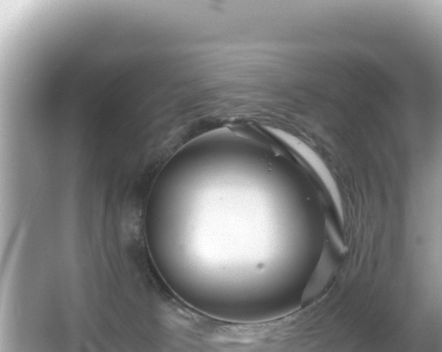 X0000066020033200603101634