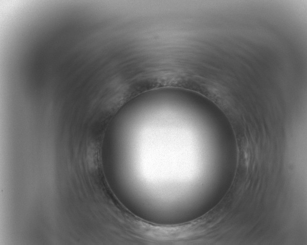 X0000066020034200603101634