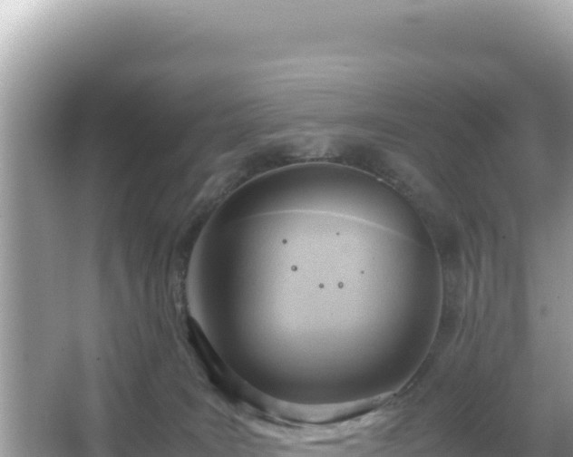 X0000066020035200603101634