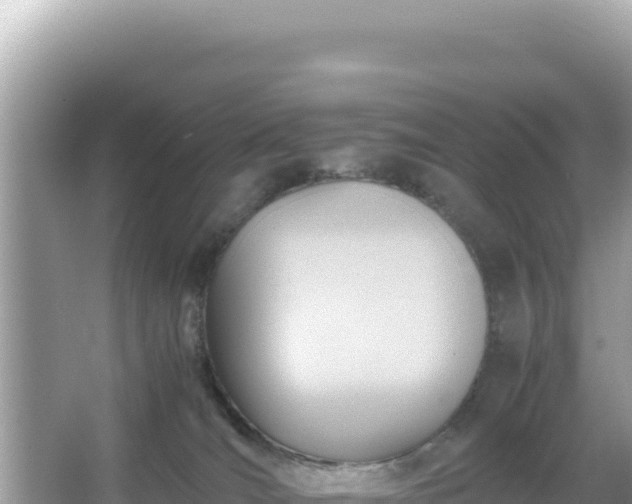 X0000066020036200603101634