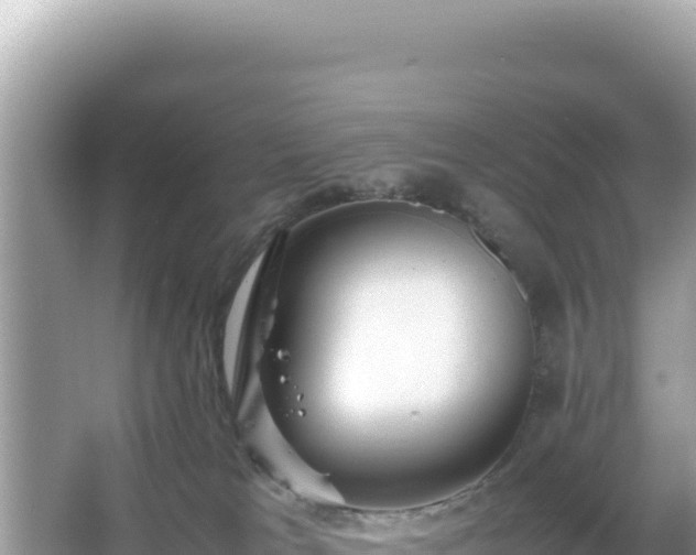 X0000066020037200603101634