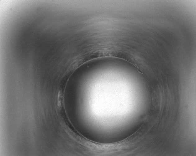 X0000066020038200603101634