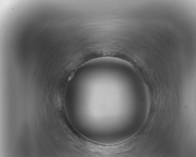 X0000066020039200603101634