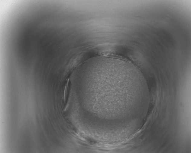 X0000066020041200603101634