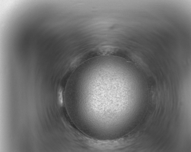 X0000066020042200603101634