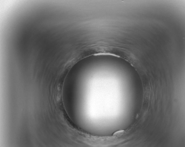 X0000066020043200603101634