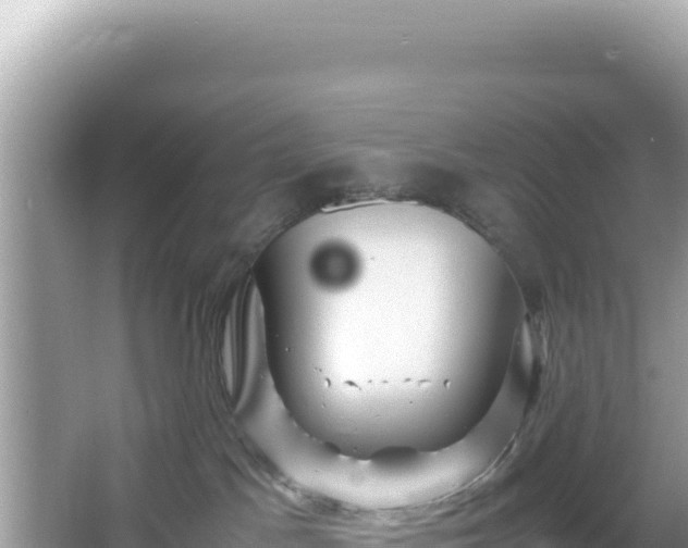 X0000066020045200603101634