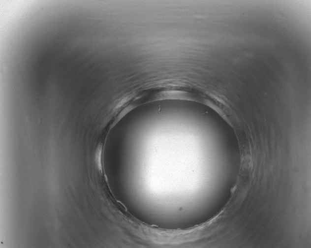 X0000066020047200603101634